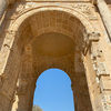 tshap868